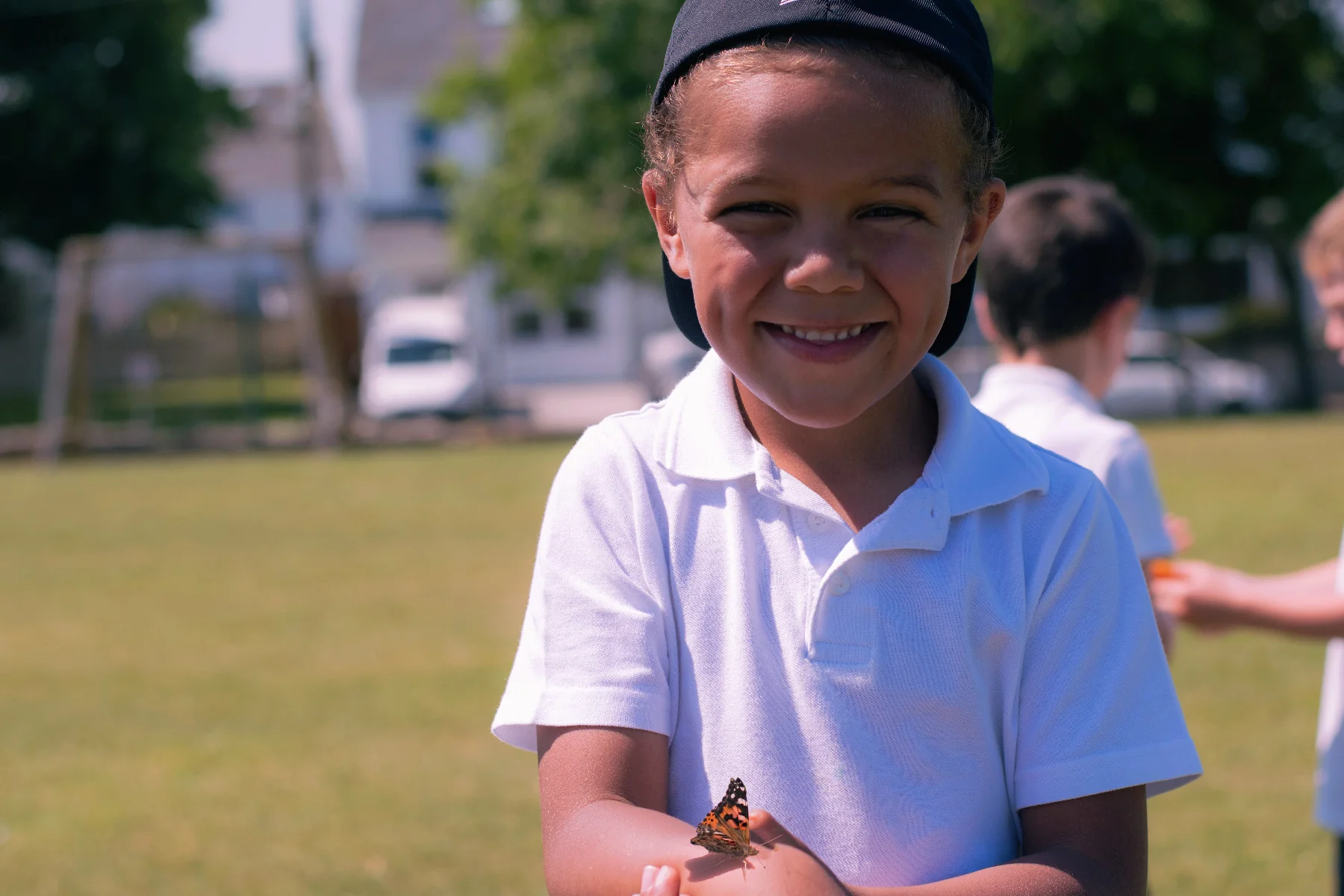 Butterfly Garden School Kit (33 Caterpillars) - Image 3
