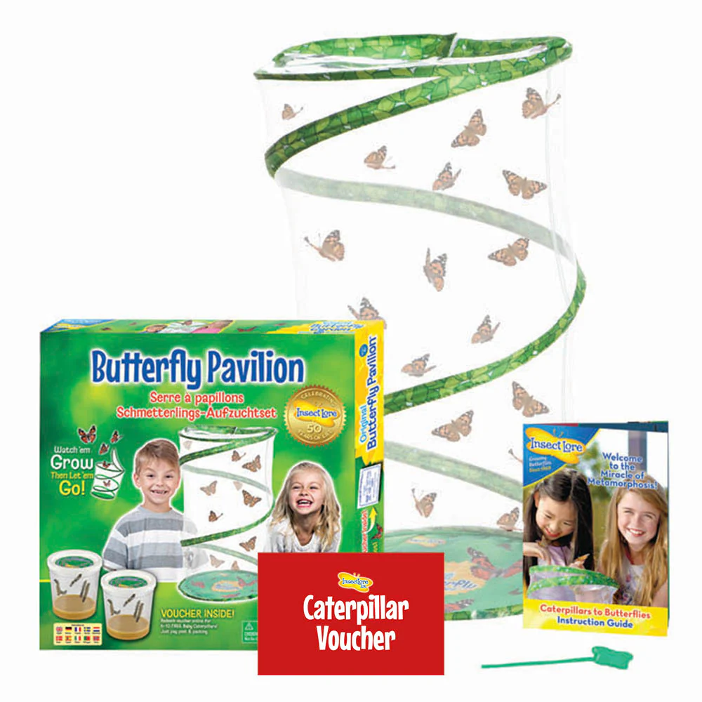 Butterfly Pavilion with 6-10 LIVE Caterpillars - Image 3