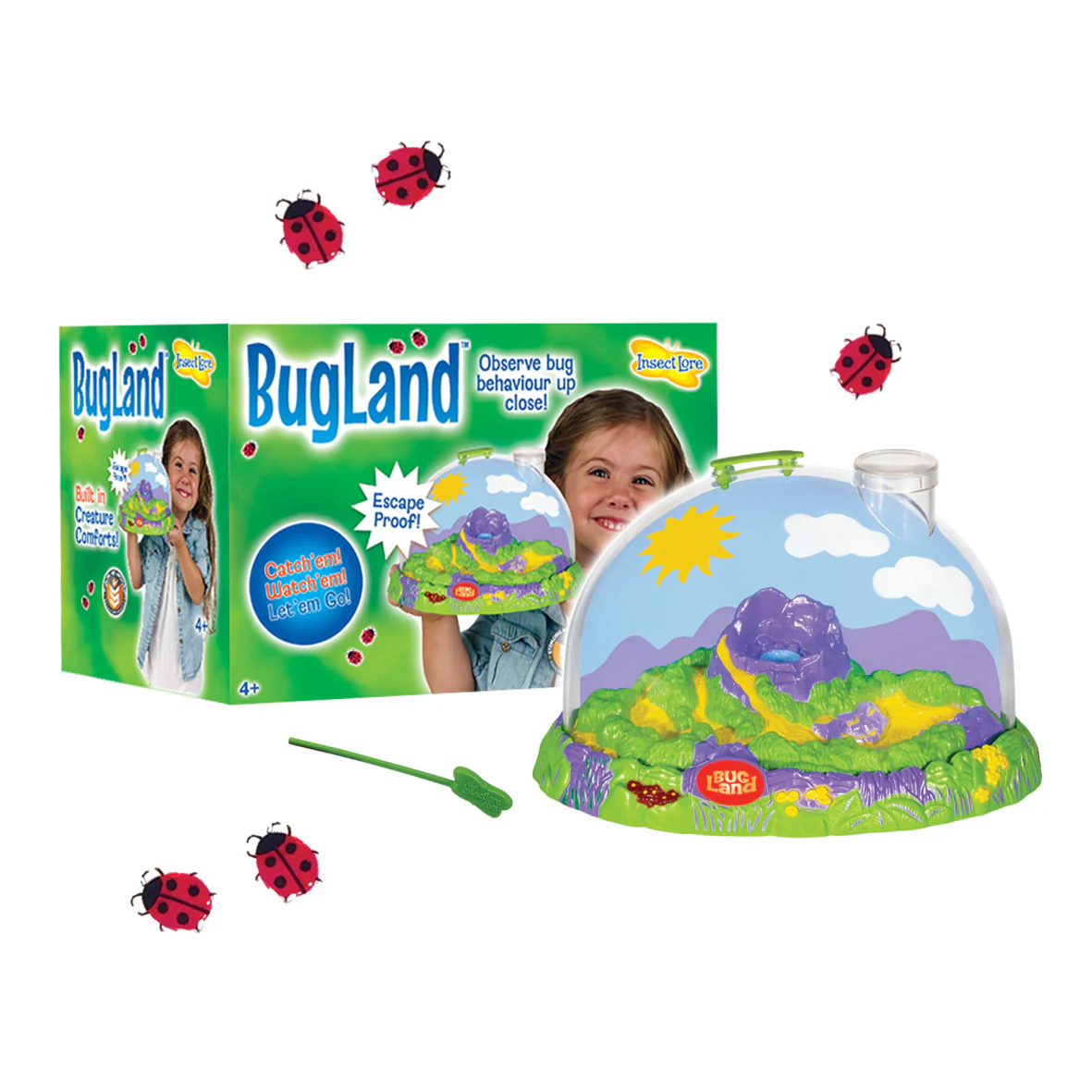 Insect Explorer Bundle - Image 3