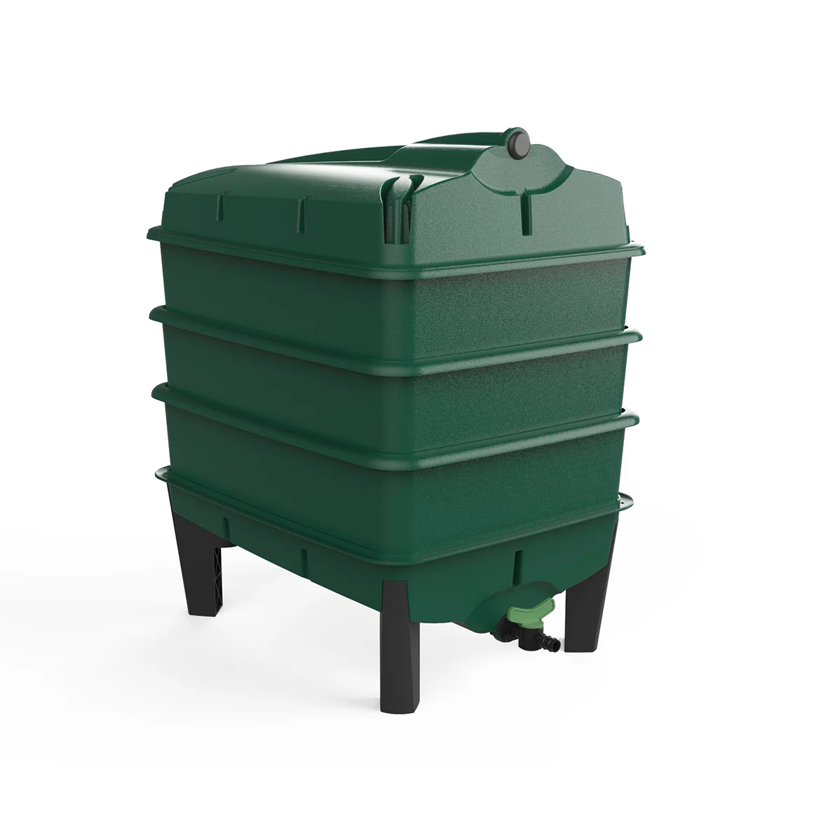 Wormery - Image 4